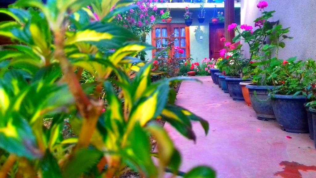 Moon Plain Inn Nuwara Eliya Eksteriør bilde
